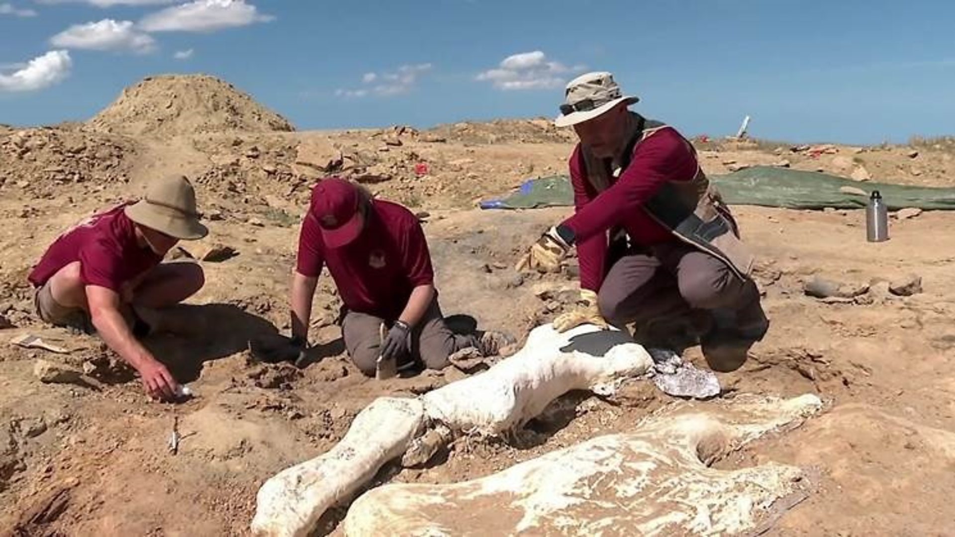 Како изгледа тајно гробље диносауруса