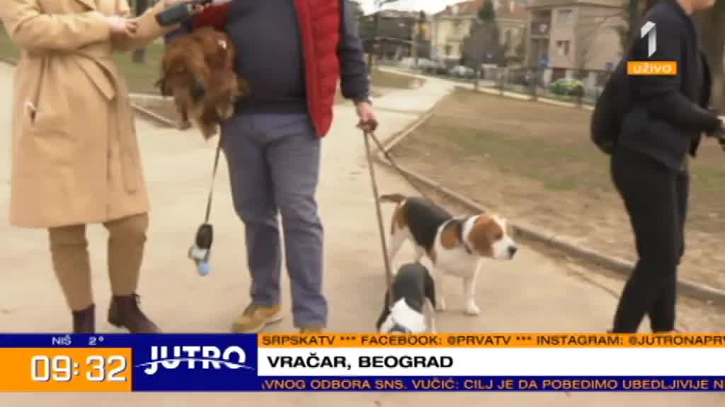 Raste potražnja za šetaèima pasa: Može li da se živi od ovog zanimanjau Srbiji?