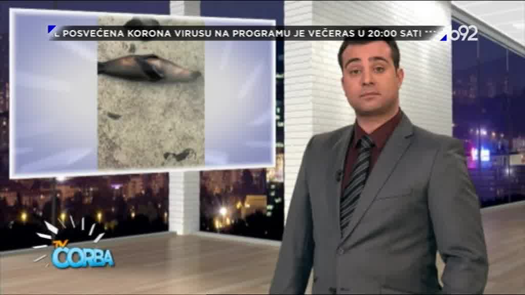 TV Čorba  12.03.2020.