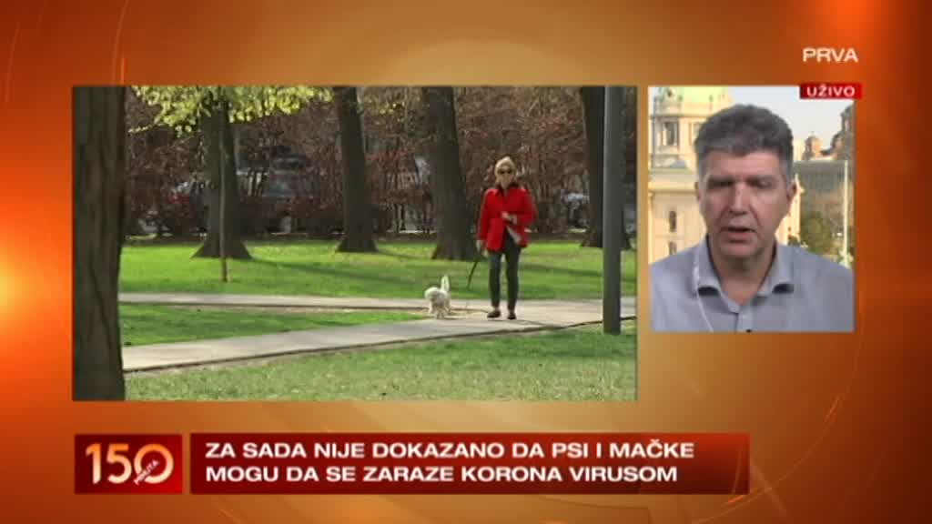 Nije šala: Evo kako održavati higijenu ljubimaca tokom epidemije