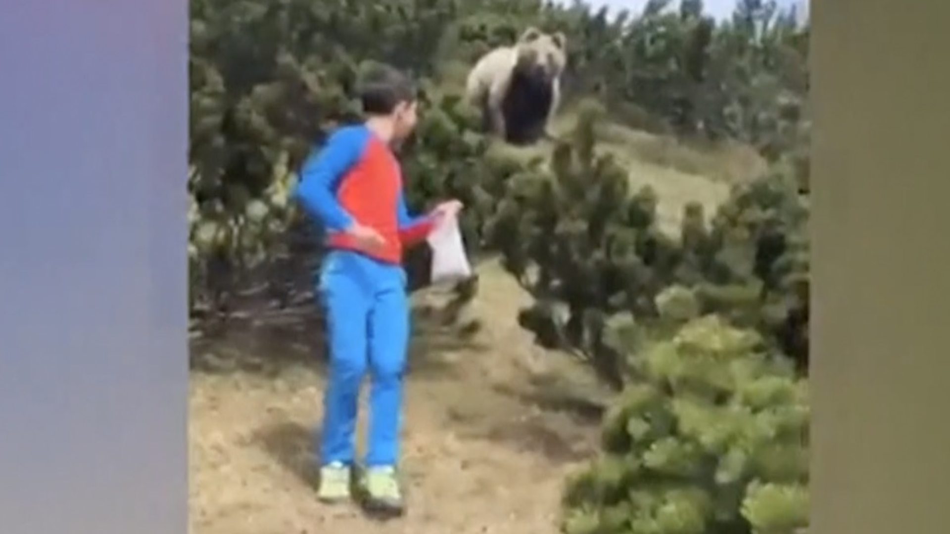 Несвакидашњи сусрет дечака и медведа