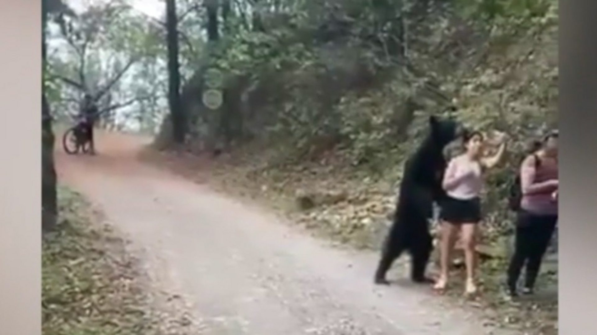 Medved se slikao s posetiocima parka