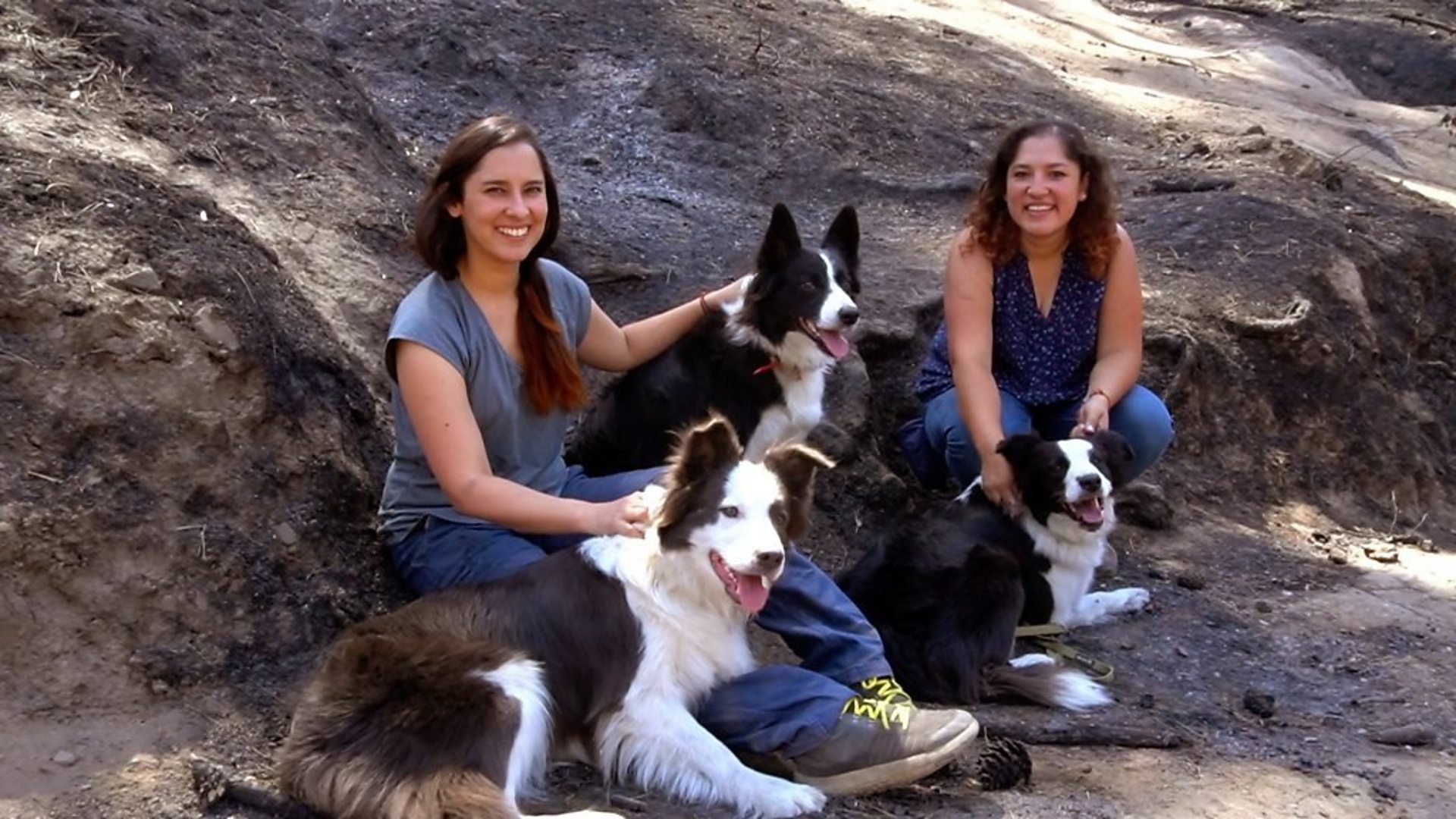 Dve sestre sa tri psa seju šumu u Èileu