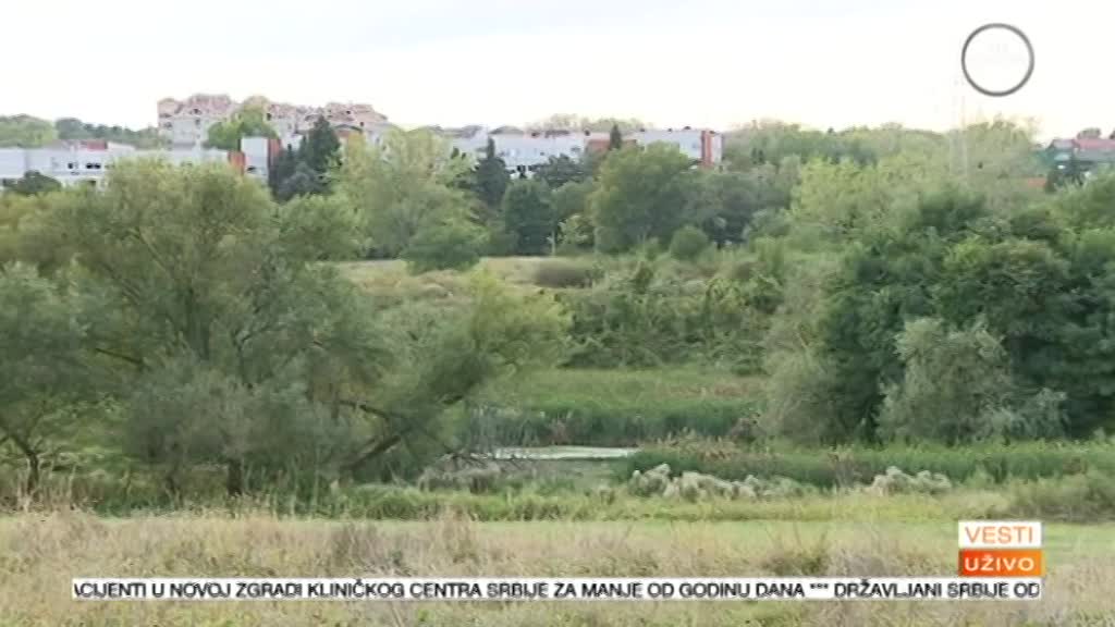 Višegodišnji problem fekalnog jezera u Beogradu