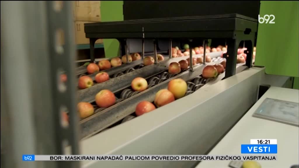 Ko će kupiti srpske jabuke?