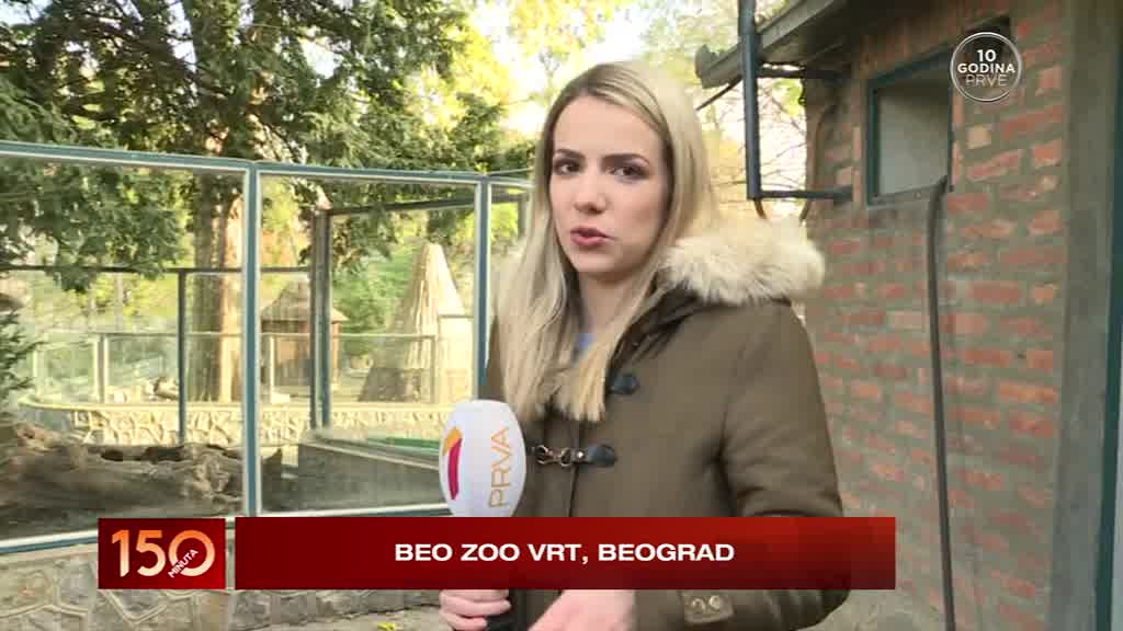 Kako se pripremaju za zimu životinje iz beogradskog Zoološkog vrta?