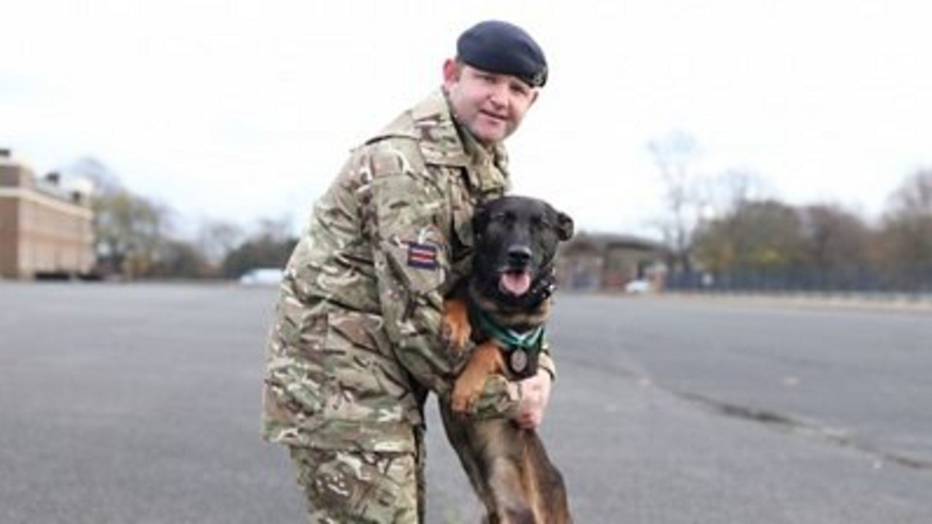 Медаља за повређеног војног пса