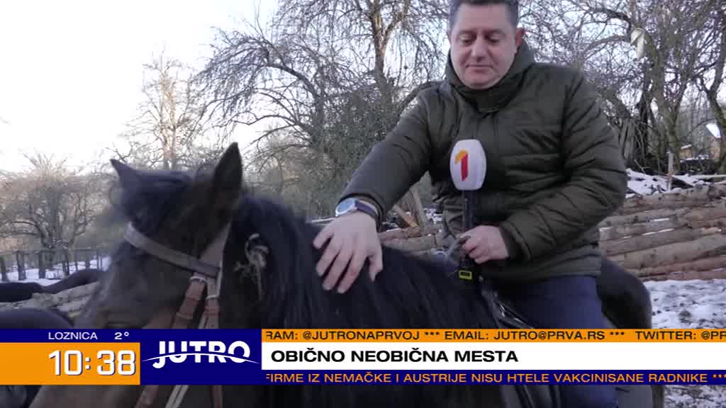 Iz Niša se vratio u rodno selo na granici sa Bugarskom da spase autohtonu rasu konja i pasa VIDEO