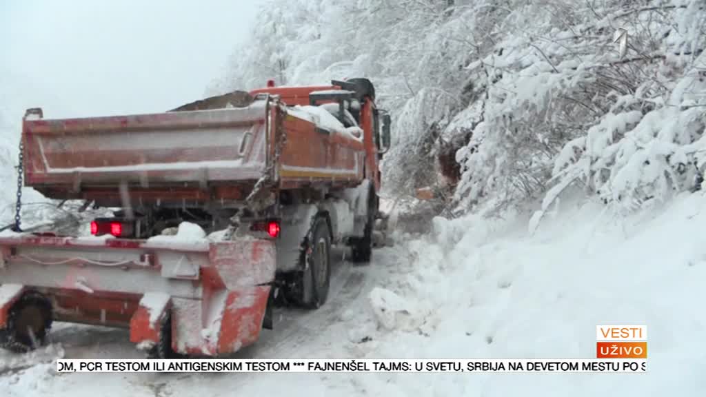 Više od stotine stabala blokiralo državni put prema Bugarskoj