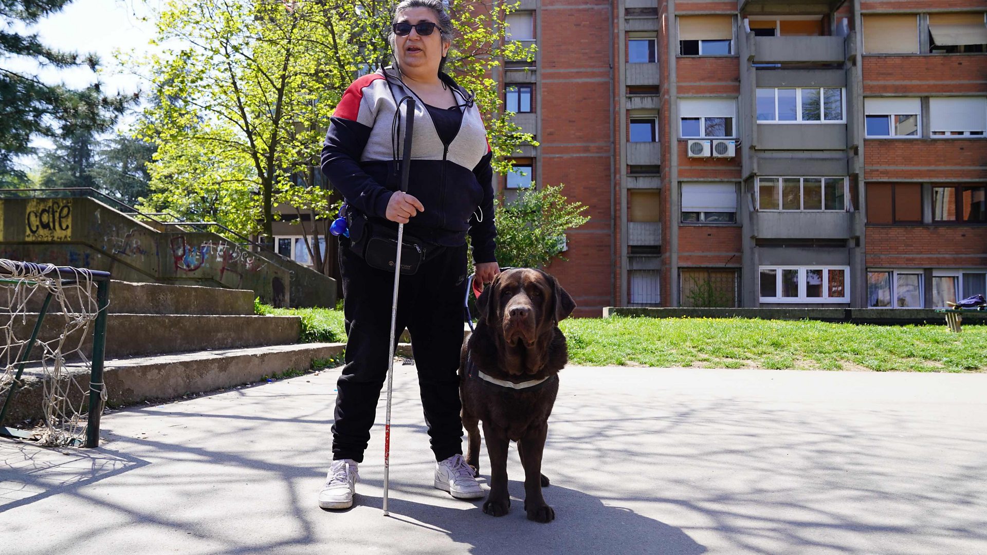Упознајте јединог пса водича у Србији