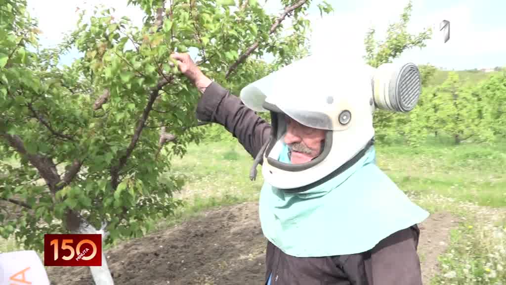 Kakvo je stanje u srpskim voćnjacima?