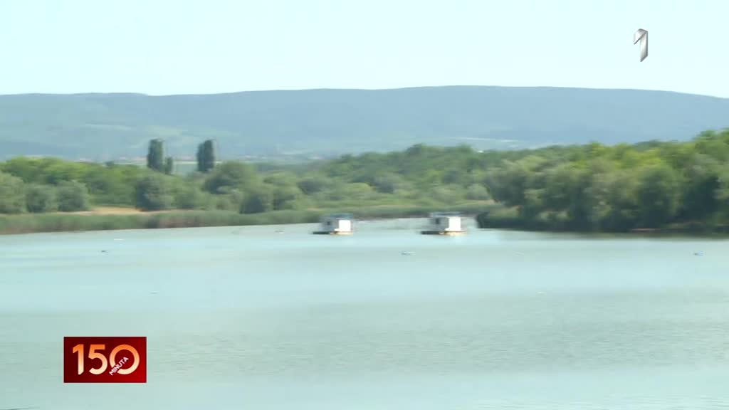 Borkovačko jezero - Mirno more u Sremu