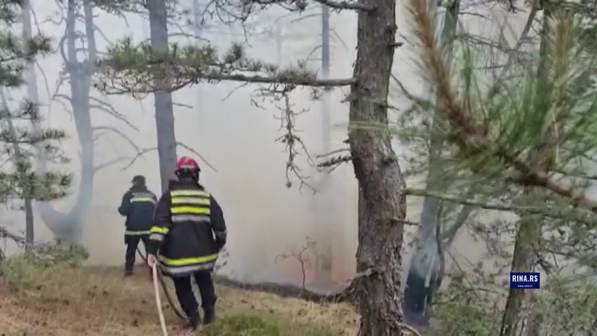 Požar kod Čajetine