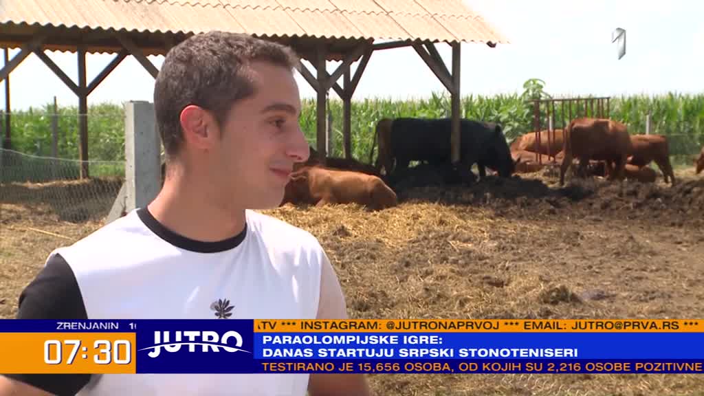 Fakultet, pa nazad na selo