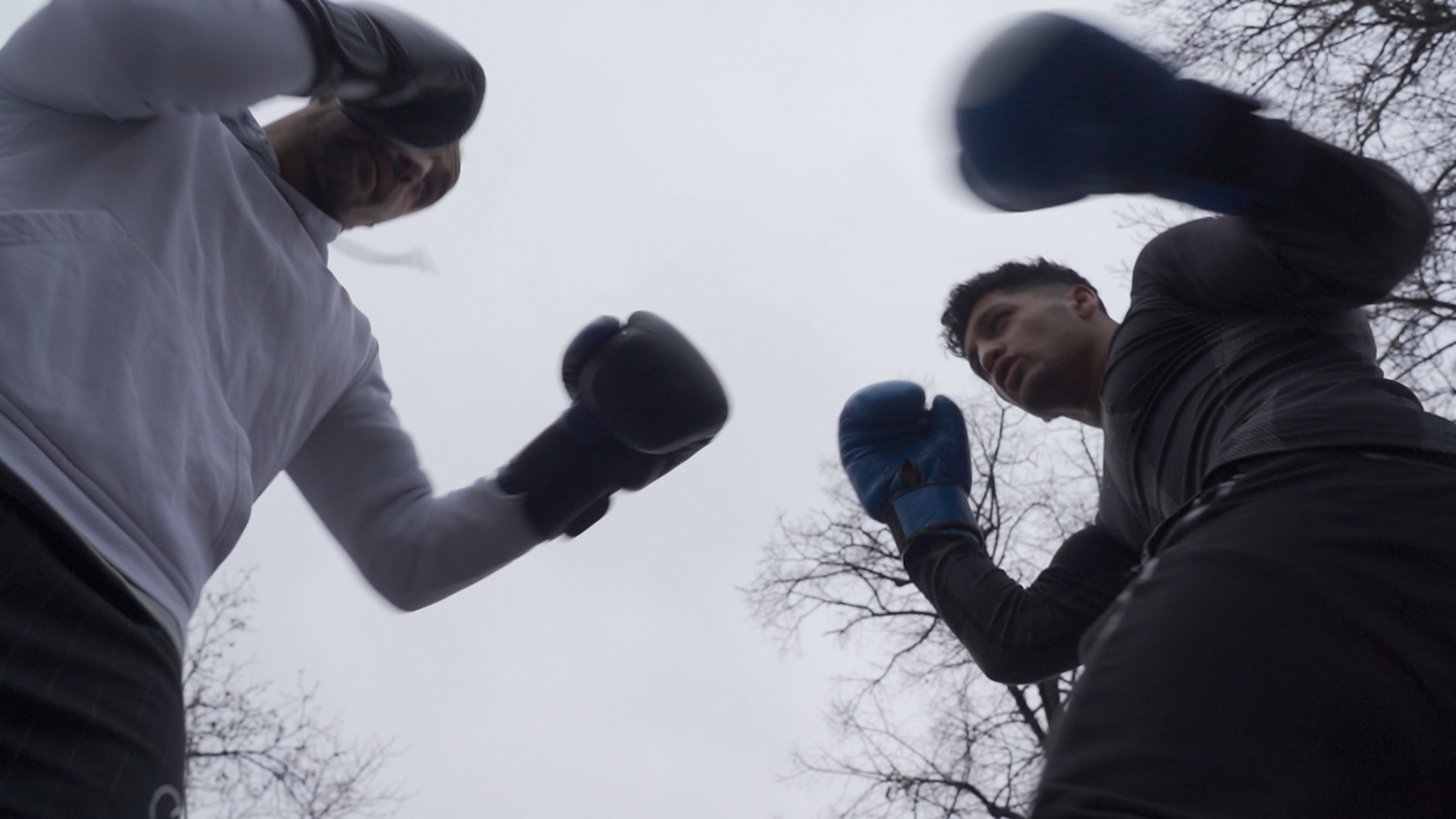 Зашто су авганистански боксери остали у С