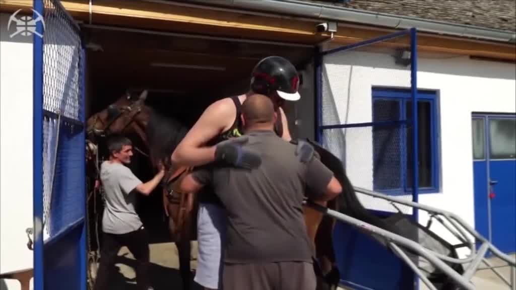 Jokić MVP nagradu dobio u štali!