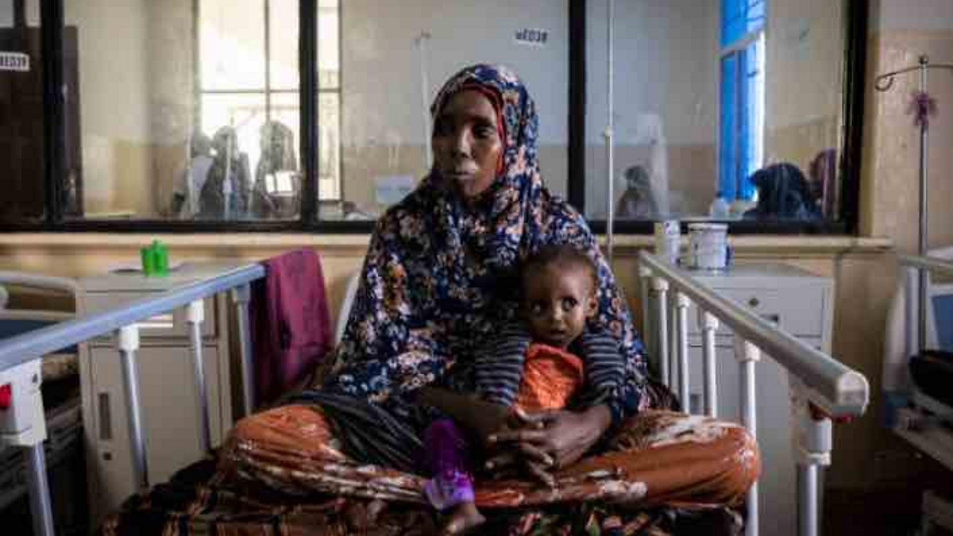 Сомалија, суша и несташица хране: 