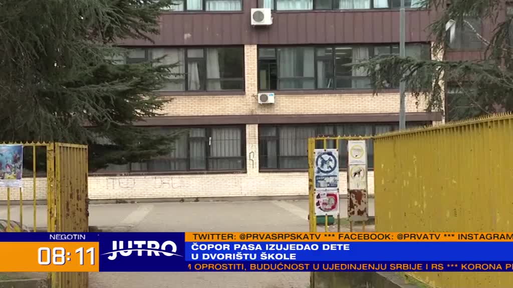 Čopor pasa izujedalo dečaka u dvorištu – nije prvi put u ovoj beogradskoj školi?
