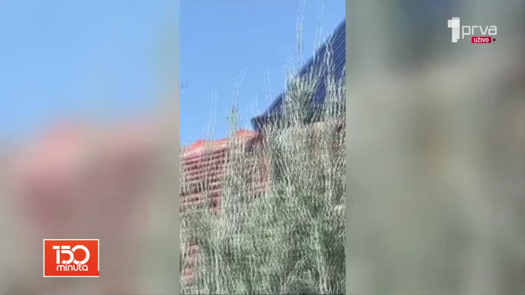 Poznato da li je majmun sa Karaburme pobegao iz Beo zoo vrta