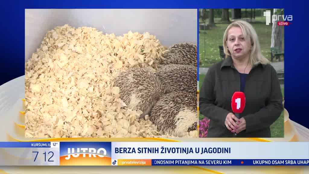 Berza sitnih životinja u Jagodini