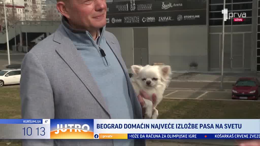 Najveća svetska izložba održava se u Beogradu: Prijavljeno 1.200 pasa iz celog sveta