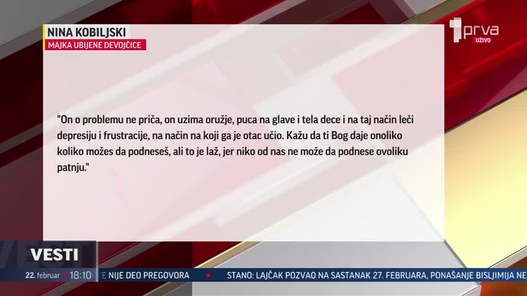 Postupak protiv Kecmanovića