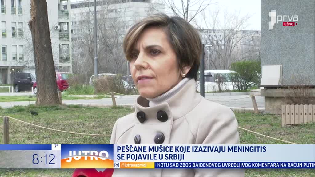 Peščane mušice se pojavile u Srbiji, mogu da prenesu lajšmanijazu i virusni meningitis